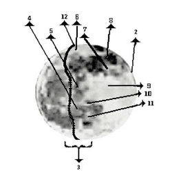 4 5 12 6 7 8 2 9 10 11 3 logo