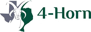 4-HORN logo