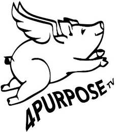 4 PURPOSE TV logo