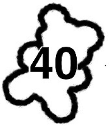 40 logo