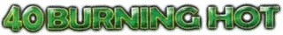 40 BURNING HOT logo