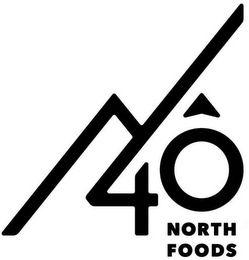 40 NORTH FOODS logo