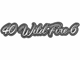 40 WILD FIRE 6 logo