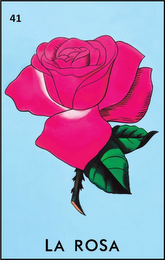 41 LA ROSA logo