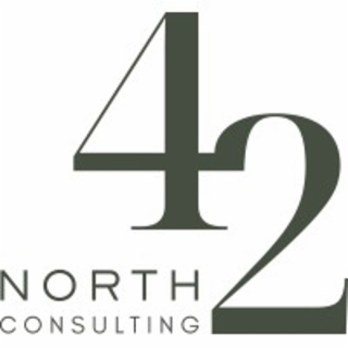 42 NORTH CONSULTING logo