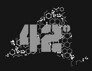 42º GLENS FALLS, NY logo