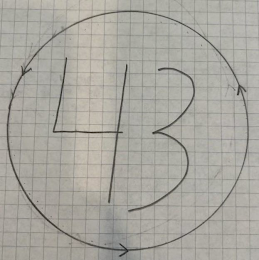 43 logo