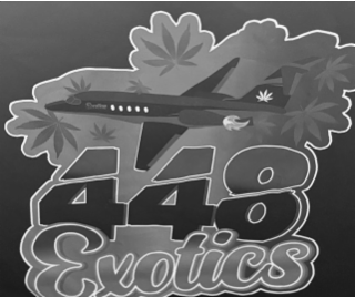 448 EXOTICS logo