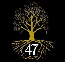 47 logo