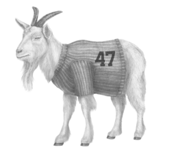 47 logo