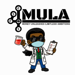 4MULA MONEY · UNLEASHES · LIMITLESS · AMBITIONS logo