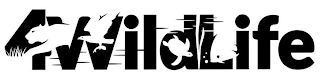4WILDLIFE logo