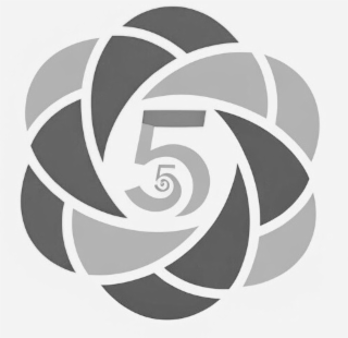 5 5