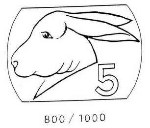 5 logo