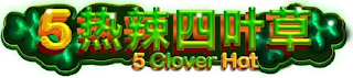 5 CLOVER HOT logo