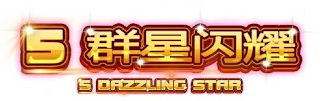 5 DAZZLING STAR logo