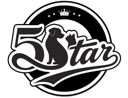 5 STARS logo