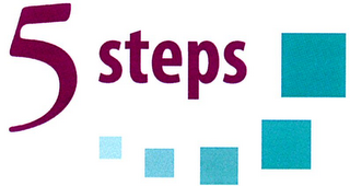 5 STEPS logo