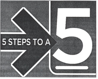 5 STEPS TO A 5 logo