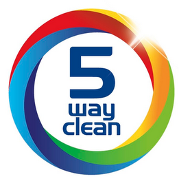 5 WAY CLEAN logo
