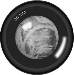 50 MM logo