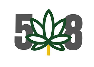 508 logo