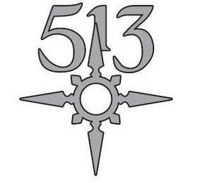 513 logo