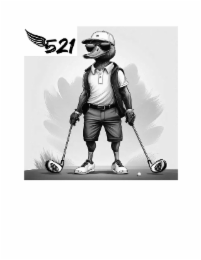 521 logo