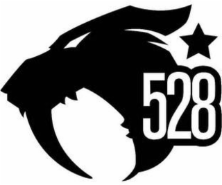 528 logo
