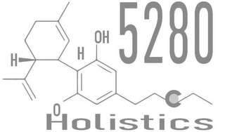5280 HOLISTICS H H OH O C logo