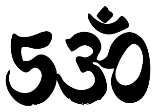 53O logo