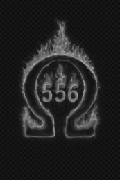 556 logo