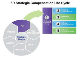 5D STRATEGIC COMPENSATION LIFE CYCLE STRATEGIC DESIGN 5D RISK ASSESSMENT EXECUTE MEASURE ANALYZE IMPROVE 1 DEVELOPING A COMPENSATION STRATEGY 2 DESIGNING A COMPENSATION PLAN 3 DETERMINING COMPENSATION MEASURES 4 DEFINING FORMS OF COMPENSATION 5 DELIVERING THE COMPENSATION MODEL logo
