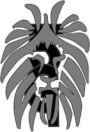 5G logo