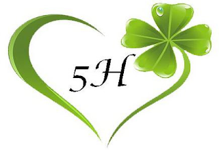 5H logo