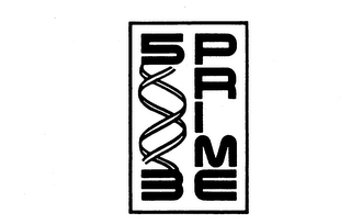 5PRIME 3 logo