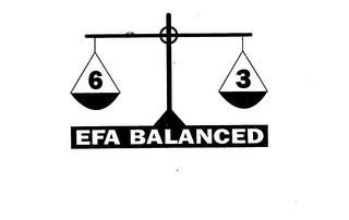 6 3 EFA BALANCED logo