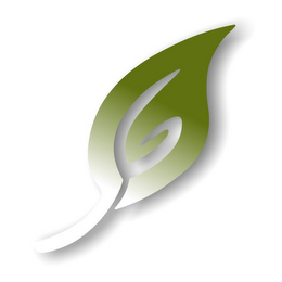 6 logo
