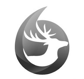 6 logo