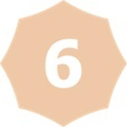 6 logo