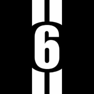6 logo