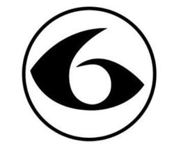 6 logo