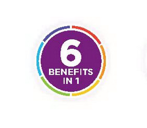 6 BENEFITS IN 1 logo