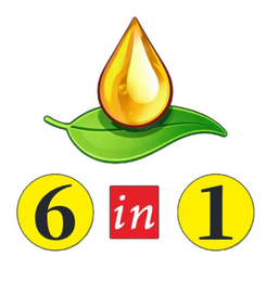 6 IN 1 logo