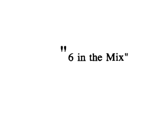 "6 IN THE MIX" logo