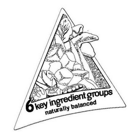 6 KEY INGREDIENT GROUPS REAL FOOD NATURALLY BALANCED logo
