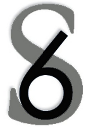 6 S logo