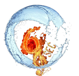 6 SEC RECORDS logo