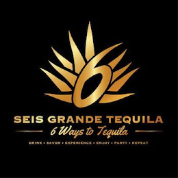 6 SEIS GRANDE TEQUILA 6 WAYS TO TEQUILA DRINK · SAVOR · EXPERIENCE · ENJOY · PARTY · REPEAT logo