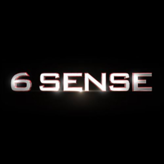 6 SENSE logo